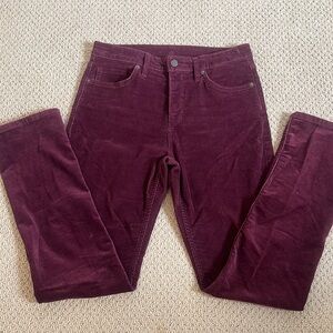 Patagonia Organic Cotton Burgundy Corduroy Pants High Rise 30